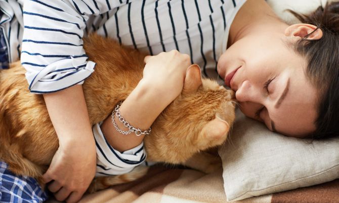 paybatch.com